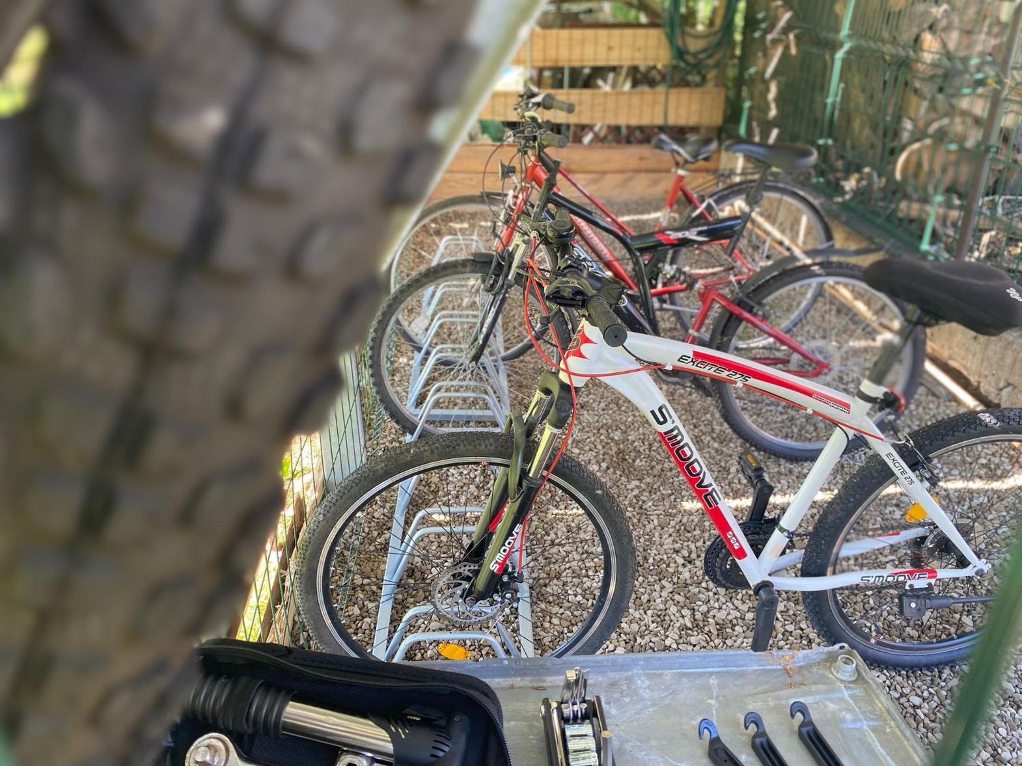 Apartamenty Adamcykowka Blisko Velo Czorsztyn! Kluszkowce Exterior foto