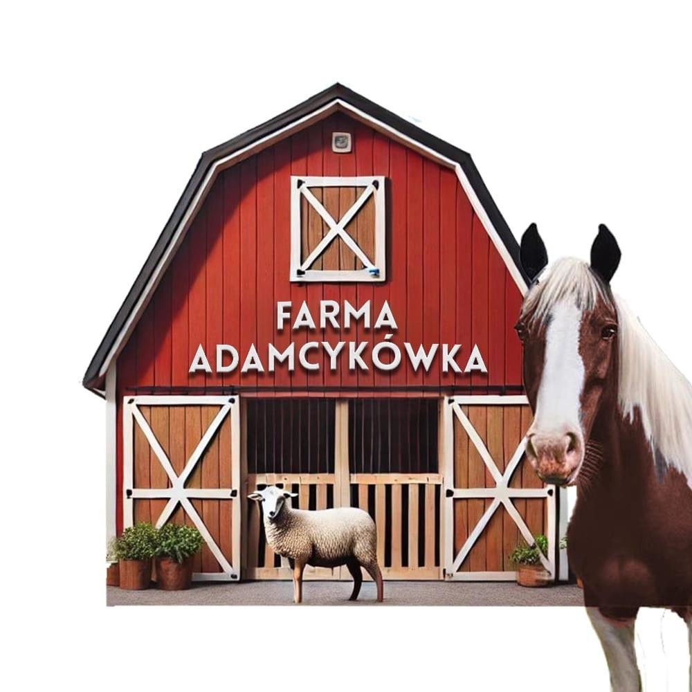 Apartamenty Adamcykowka Blisko Velo Czorsztyn! Kluszkowce Exterior foto